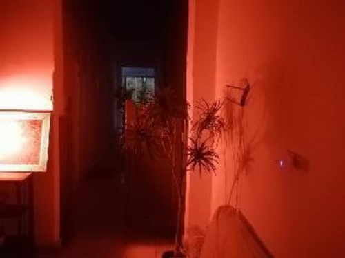 Safary Hotel image 13