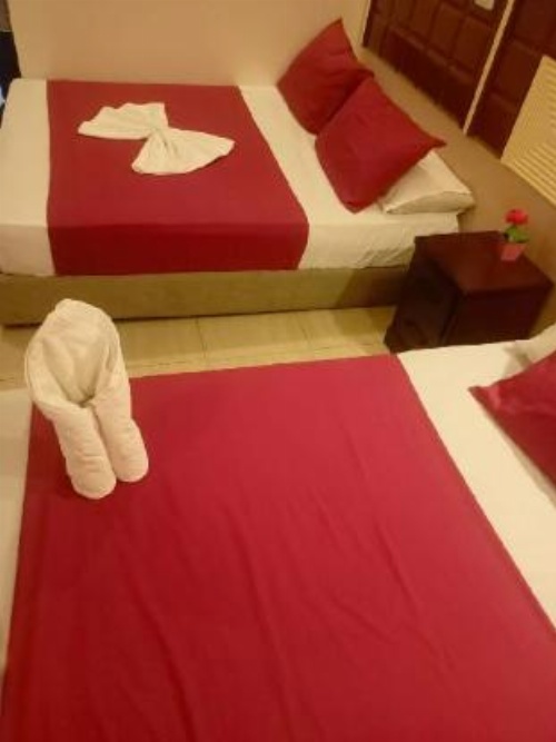 Safary Hotel image 14