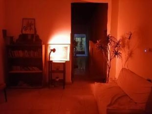 Safary Hotel image 19